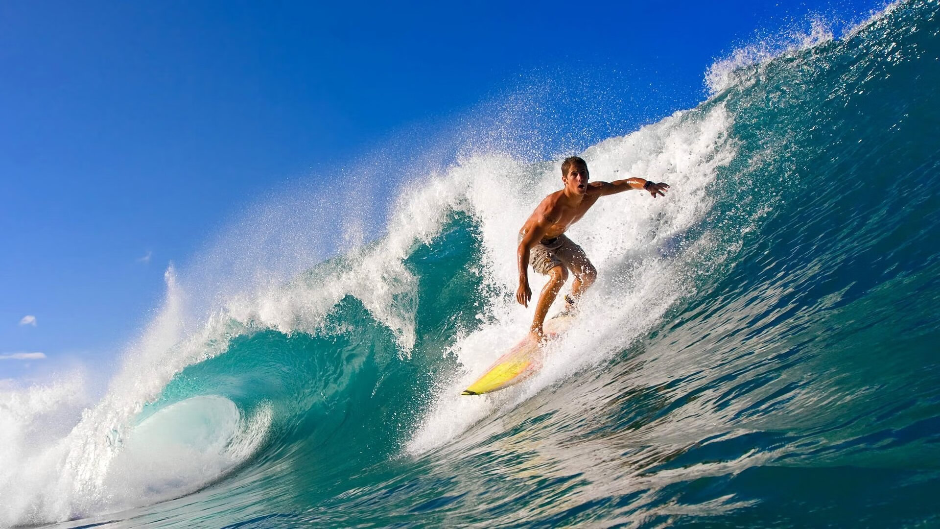 kaiyun 开云体育-青少年“区块链+篮球”创新创业大赛在北京圆满落幕，区块链创意大赛