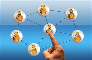 开云APP-德国队与国际乒联混合团体世界杯赛制的互动与挑战，德国队乒乓